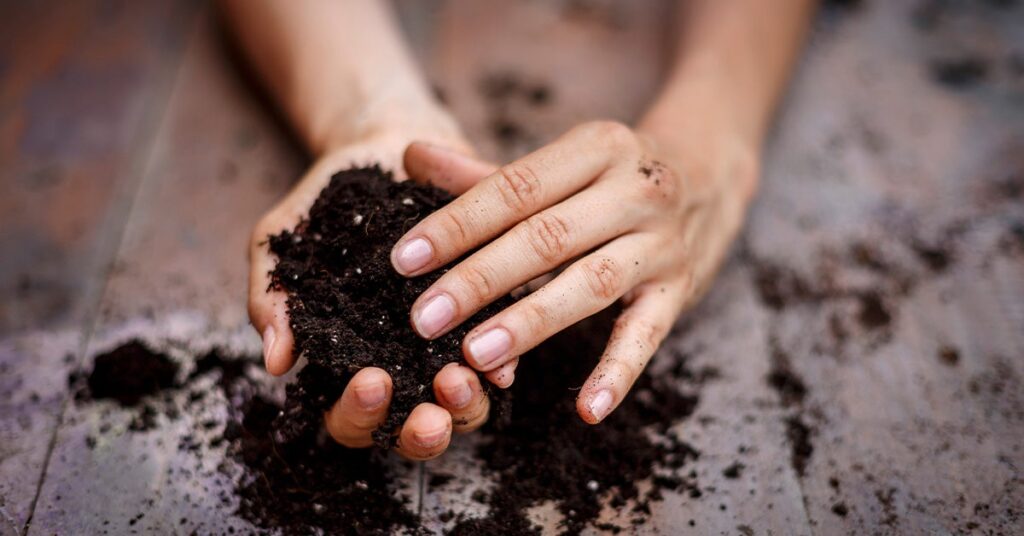 How To Stop Eating Soil During Pregnancy