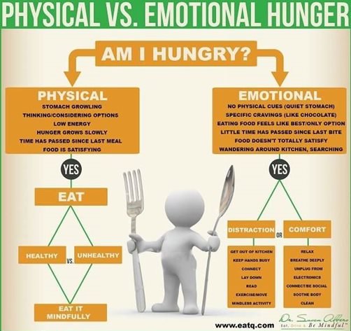How To Stop Hunger Cravings