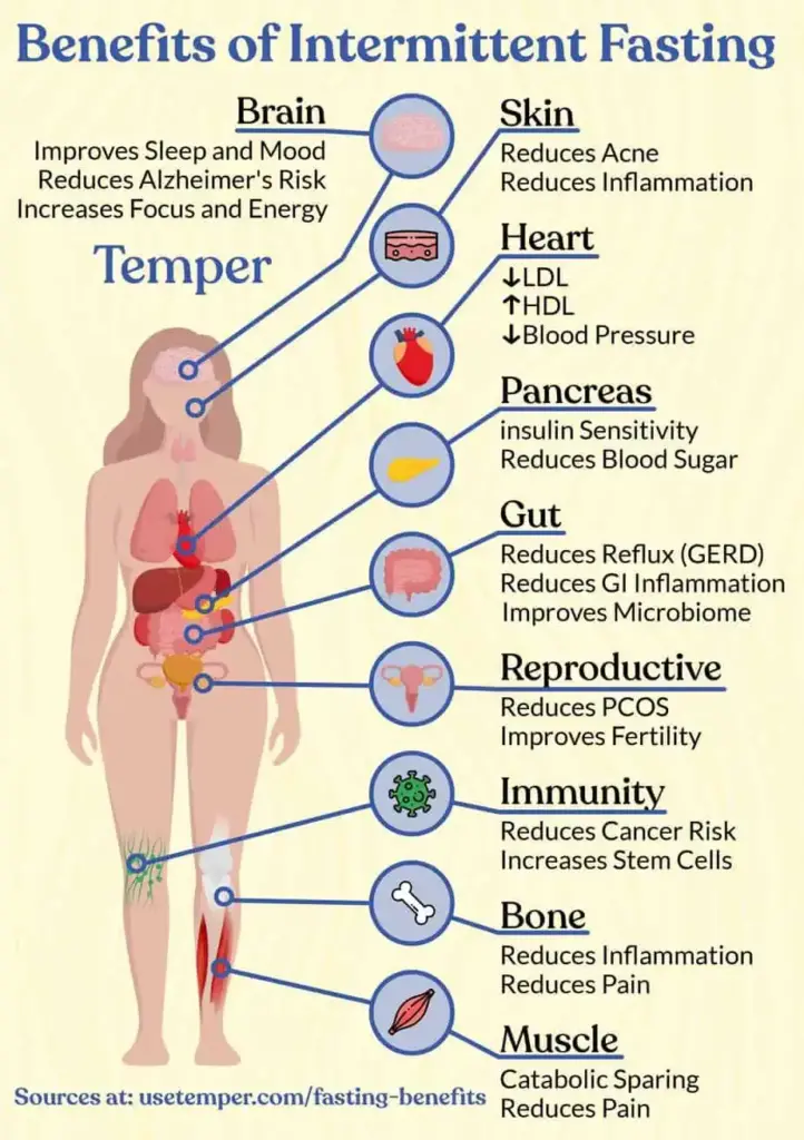 Intermittent Fasting Benefits